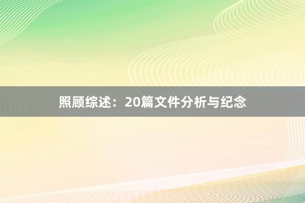照顾综述：20篇文件分析与纪念